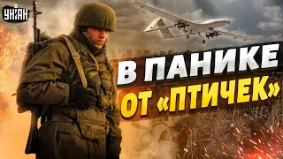 Путинисты не в силах скрыть панику. Украинские боевые "птички" готовы