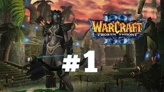 Warcraft 3 Ледяной Трон - Часть 1 - Ужас из глубин - Прохождение кампании Ночные эльфы