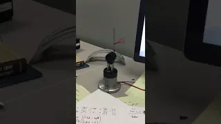 Miniature Rotary Inverted Pendulum with Disturbance