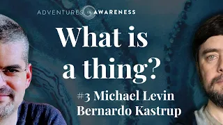 Michael Levin | Bernardo Kastrup #3 - With Reality in Mind