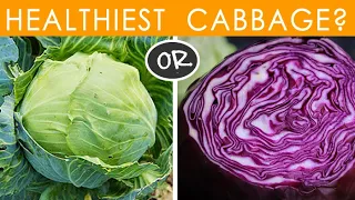 CABBAGE NUTRITION FACTS - Which Is Better: Green or Purple Cabbage? In Depth Comparison