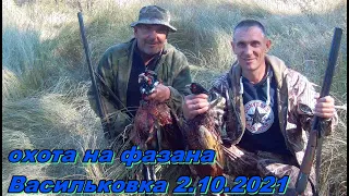 охота на фазана 2.10.2021 Васильковка