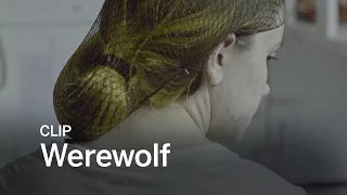 WEREWOLF Clip | Festival 2016