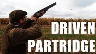 Driven partridge shooting outside Paris