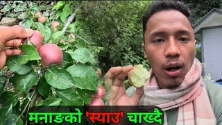 मनाङको स्याउ पनि चाखियो | Manang to Lamjung - Nomadic Santosh 😘🥰