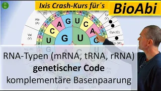 RNA-Typen (mRNA, tRNA, rRNA), Genetischer Code und Komplementäre Basenpaarung - Anwendungsaufgaben