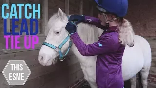 How to put on a Headcollar/Halter, Lead and Tie Up a Horse | Beginner Series | This Esme
