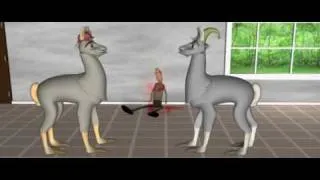 Llamas With Hats in 3D!!!