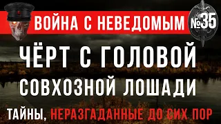 «Чёрт с головой совхозной лошади» Война с неведомым #35