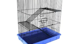 Клетка триол с1. Почему именно эта клетка Triol C1