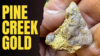 THATS GOLD! - Gold Prospecting Adventure at Pine Creek NT 😃⚒️🇦🇺