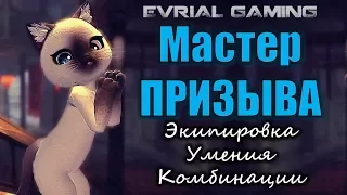 Мастер ПРИЗЫВА КОТОВОД Актуальный ГАЙД на Новый Патч Blade and Soul Summoner Экипировка Умения Комбо