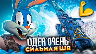 ОДЕН МЕТА В КОРОЛЕВСКОЙ БИТВЕ CALL OF DUTY MOBILE | tiny toon codm