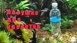 Ловушка для креветок