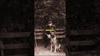 The dog was again carried on Stalin's coat