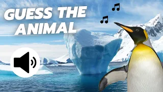 Guess The Animal Sound | 21 Animal Sounds Game