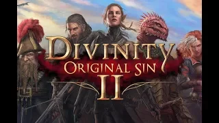 Стрим  прохождение Divinity Original Sin 2 Часть 26