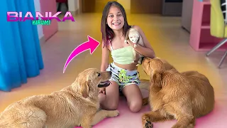 MEU CACHORRO CONHECEU O FURÃO !!! - BIANKA