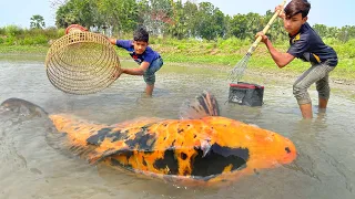Amazing Village Boys Catching Fish By Bamboo Tools Polo & Teta Trap In Pond | Fishing Video