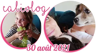 [NYCYLA CALIVLOG] UN DEUXIÈME CHIEN À LA MAISON 🐕