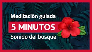 MINDFULNESS MEDITACIÓN GUIADA 5 minutos principiantes | Relajación total