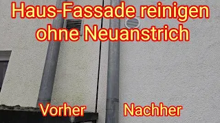 Haus-Fassadenreinigung ohne Neuanstrich - Grünbelag entfernen, Grünbelagentferner, Algenentfernung