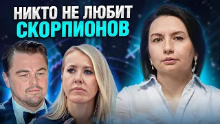 Неудобная правда о скорпионах: Почему их НИКТО НЕ ЛЮБИТ?