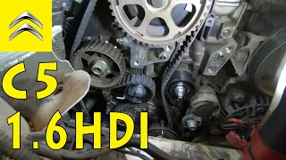 How to change the timing belt kit and the coolant pump on a Citroen C5 II - 1.6 HDI