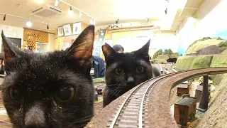 Do you still want to take this train?