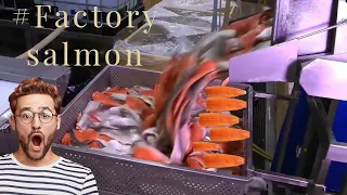 How Salmon Fillet Are Made in Factory | How It's Made ?