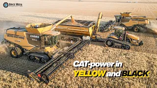 CAT Power 2023 - Ernte 2023 mit 3x Lexion 760 Yellow US/CA  Diese art von Mähdrescher stirbt aus