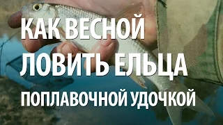 РЫБА ЕЛЕЦ РАННЕЙ ВЕСНОЙ. РЫБАЛКА в МАРТЕ на ЕЛЬЦА ПОПЛАВОЧНОЙ УДОЧКОЙ на РЕКЕ