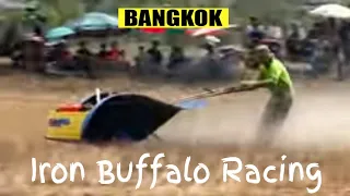 Iron Buffalo racing on the outskirts of Bangkok Thailand
