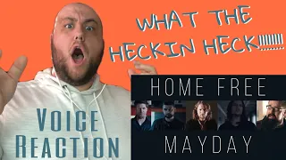 Home Free - "Mayday" | Voice Teacher Reaction