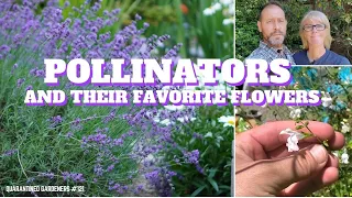 🦋 Pollinators and Their Favorite Flowers - QG Day 121 🦋