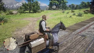 RDR2 - The most unusual horse that will be yours