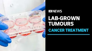 Researchers growing tumours outside patients' body | ABC News