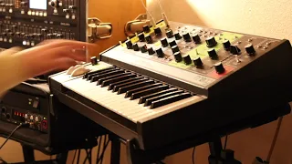 Moog Grandmother Noodling | Lead Demo