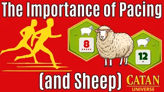 CATAN | The IMPORTANCE of Pacing (and Sheep) | Game 452