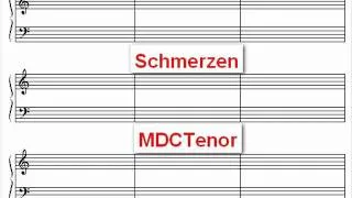 MDCTenor Wesendonck Lieder 4 Schmerzen.wmv
