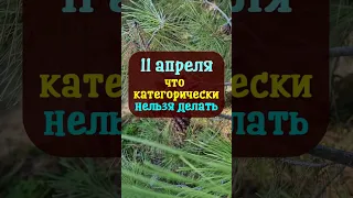 11 апреля Великий Вторник, народный праздник Берещенье. Что нельзя делать. Народные традиции приметы