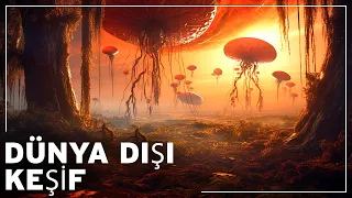 Dünya Dışı Yaşam İçin En Uygun Uzaylı Gezegeni KEŞFEDİYORUZ | Uzay Belgeseli