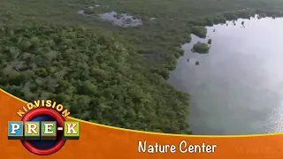 Exploring Mangroves | Virtual Field Trip | KidVision Pre-K