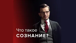 Как сознательно повлиять на мозг? А.В. Курпатов