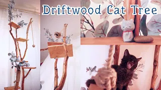 Making Driftwood Cat Tree for Kitten // Full Video // Instructional ASMR Music Video