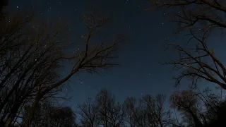 Stars rotating around the North Celestial Pole