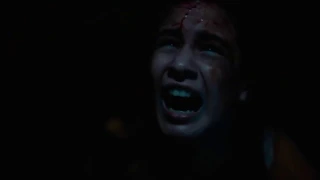 THE FIELD GUIDE TO EVIL   Official Trailer HORROR MOVIE 2019