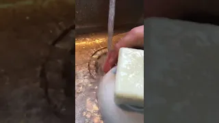 Dish Soap Block