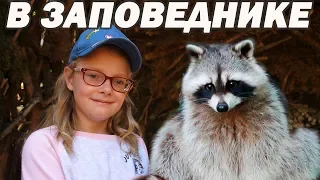 Video about animals for kids - a VLOG at the zoo - the Caucasian reserve, Sochi