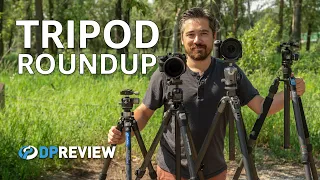 Large Tripod Comparison/Review (Gitzo, Manfrotto, Leofoto, Sirui)